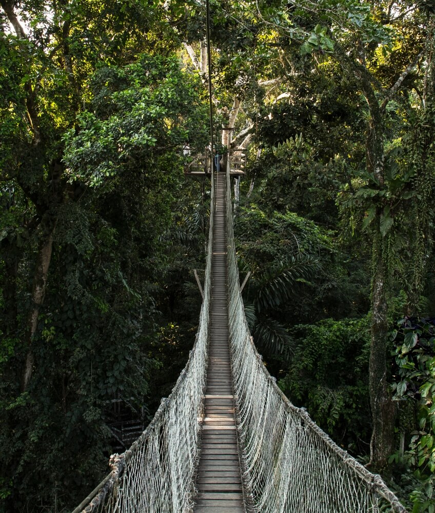 Machu Picchu and Amazon Tours | Bespoke Journey in Peru