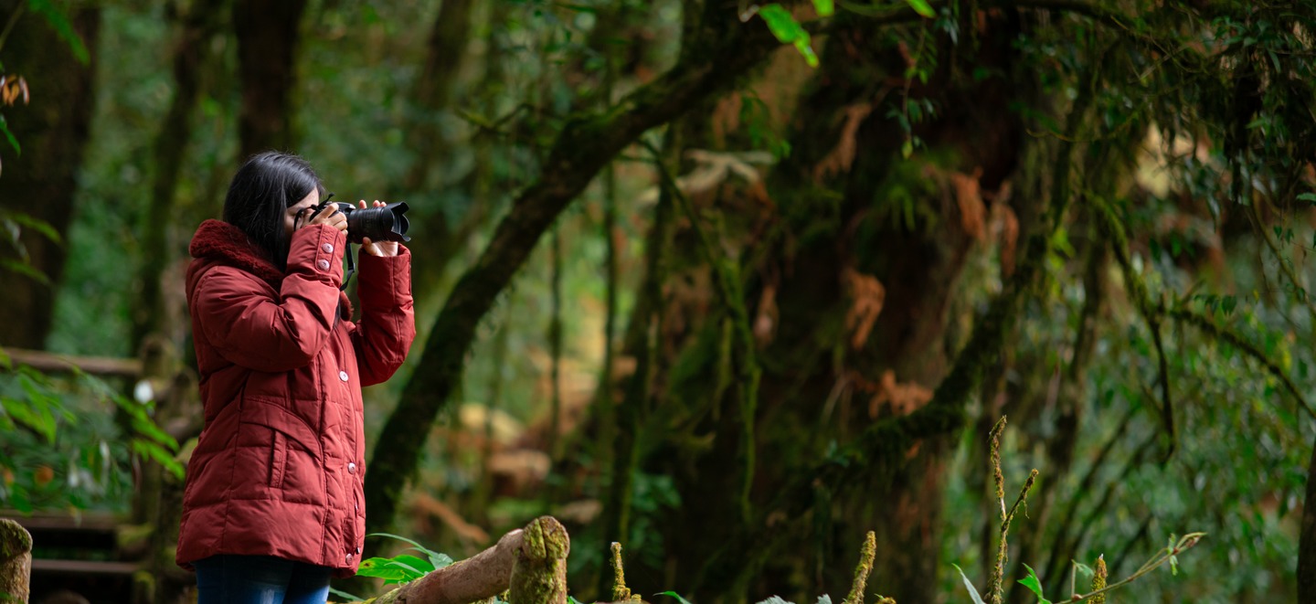 Photographing Birds in the Rainforest on Your Private Amazon Tour