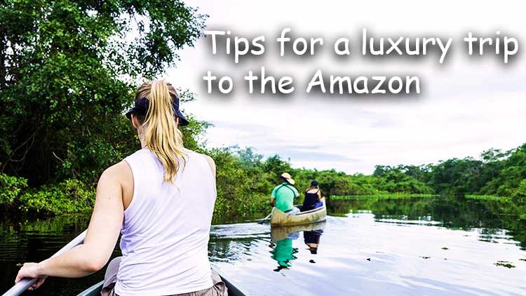 5 Tips for Traveling the Amazon in Comfort