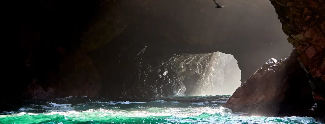 Ballestas Islands Wildlife Along Perus Pacific Coast