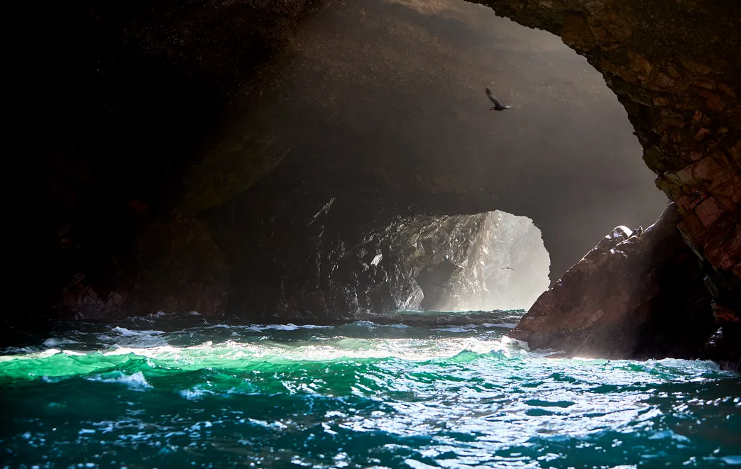 Ballestas Islands Wildlife Along Perus Pacific Coast