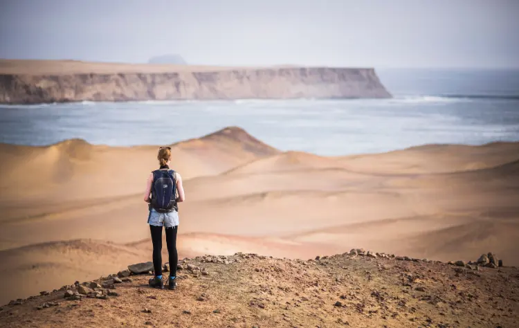 Paracas Gateway to the Ballestas Islands