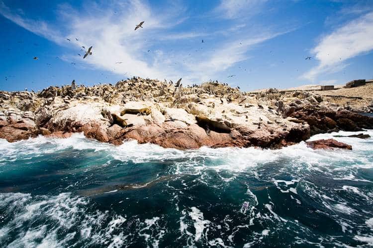 Travel to Peru’s Galápagos– aka The Ballestas Islands, on Your Peru Private Tour