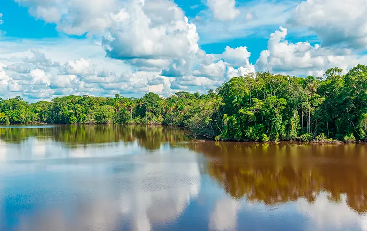 The Amazon Is Not Just One Environment