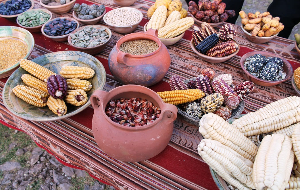 Inca’s Food Preservation – A Gift to the World – Part1