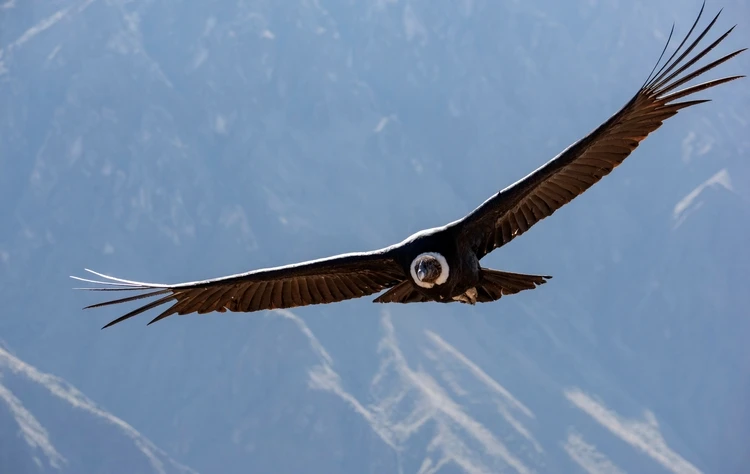 Arequipa’s Natural Surroundings