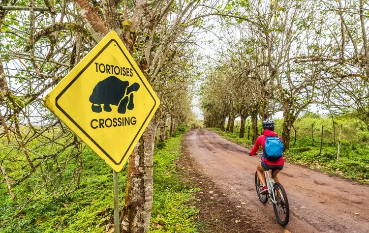 Responsible Travel in the Galapagos