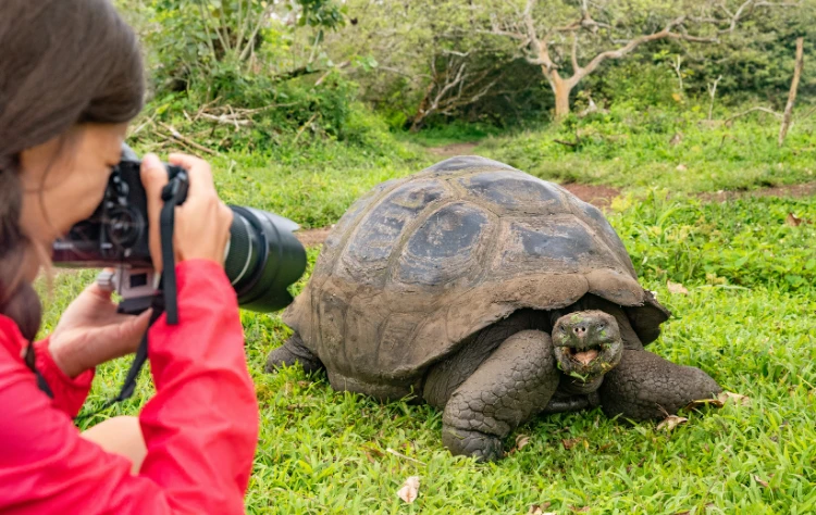 Why Choose the Galapagos Islands