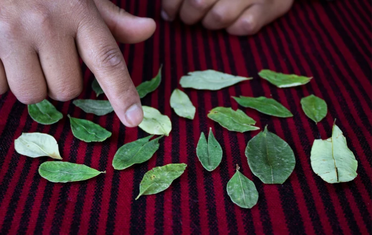 Healing Rituals and Ceremonies