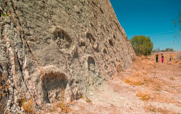 Cal Orck’o A Vertical Wall of Dinosaur Legacy