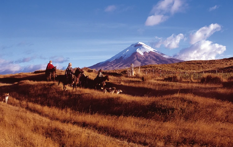 Cotopaxi National Park Ecuador
