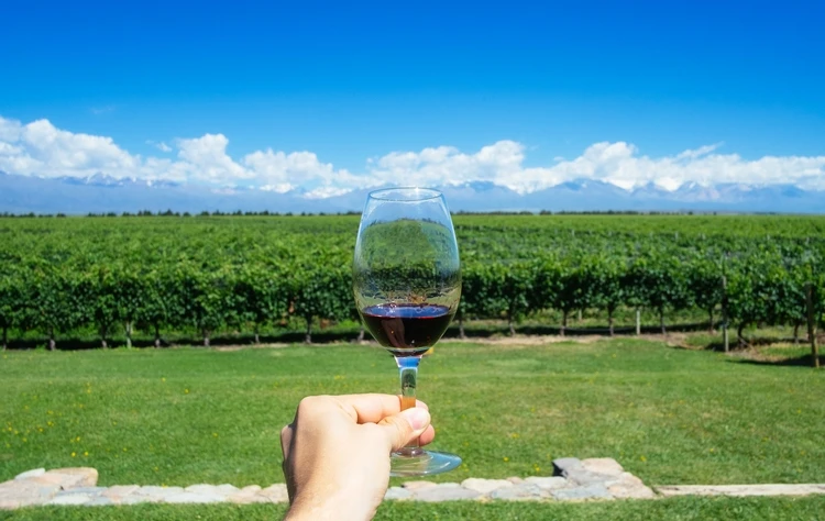 Mountain Biking and Wine Tasting in Mendoza