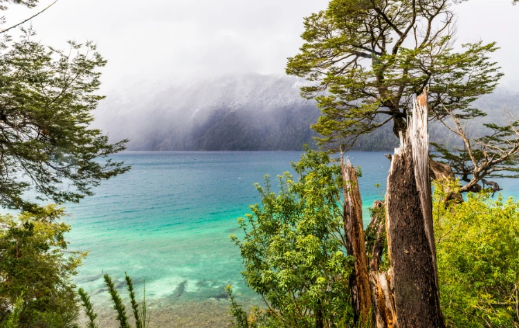 Nahuel Huapi National Park Argentina