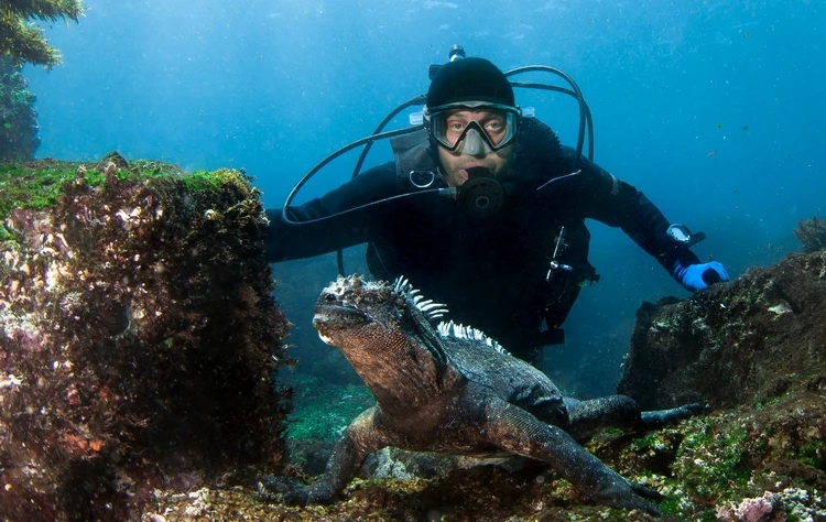 Tours in the Galapagos Islands