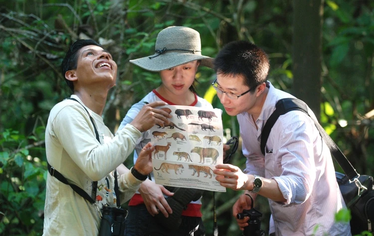 Wildlife in the Amazon Rainforest