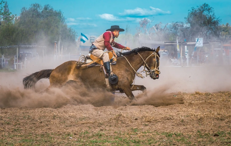 A Brief History of the South America Gaucho
