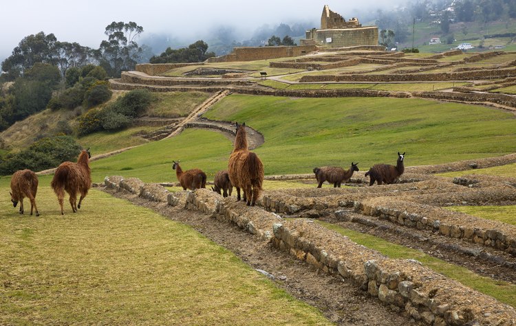 Ecuadorian Landscape