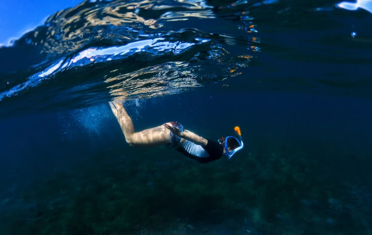 Galapagos Slip Beneath the Surface
