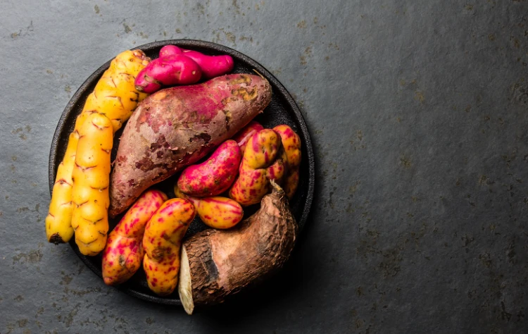 Biodiversity and the Role of Preservation