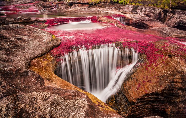 Caño Cristales best time to visit