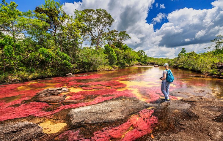 Caño Cristales