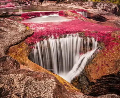 Rainbow River Colombia Caño Cristales