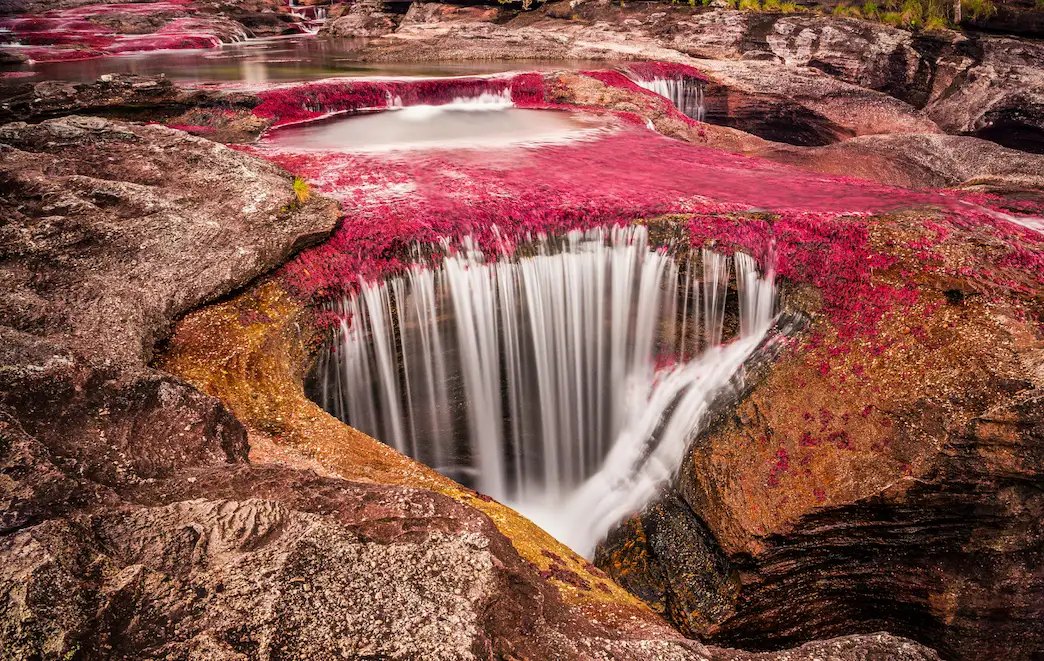 Rainbow River Colombia Caño Cristales