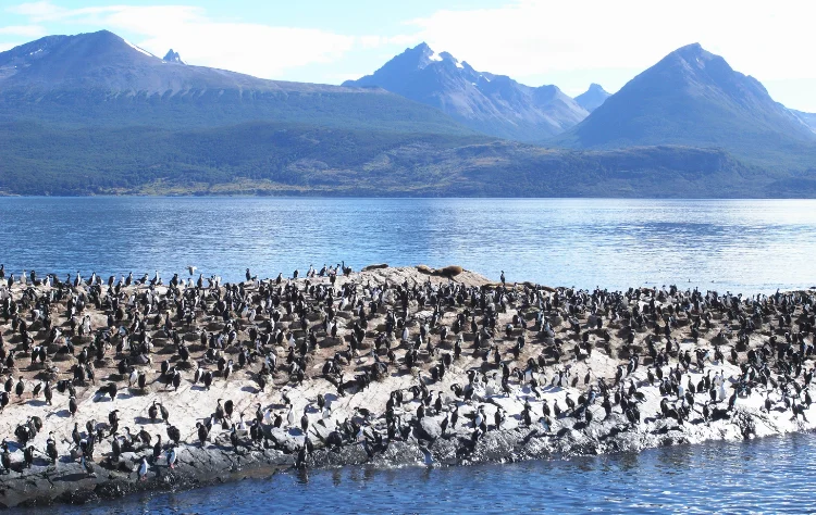 Tierra del Fuego and the Southern Edge