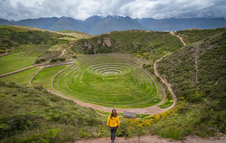 How Kuoda Integrates the Experience