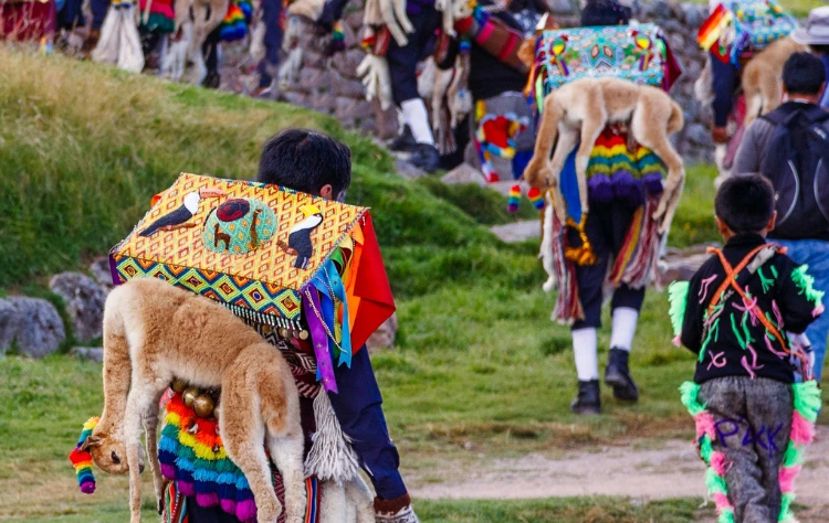 A Gathering Beyond the Language of Festivals