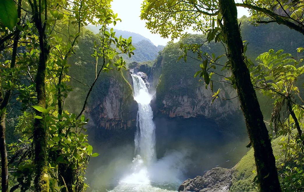 Ecuador Jungle Lodge