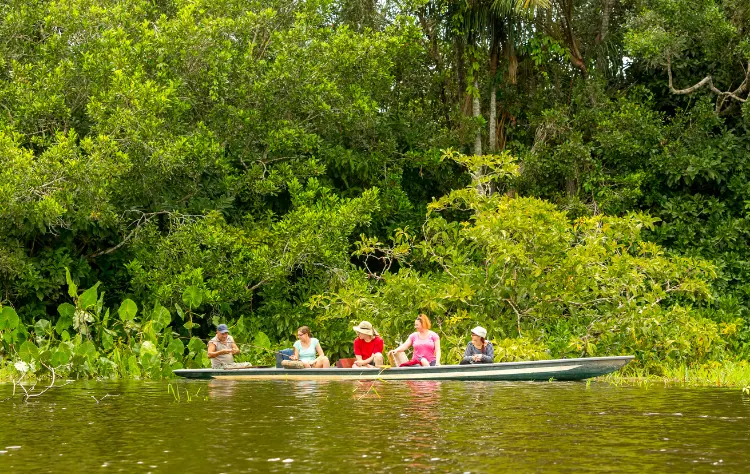 Guided Experience as the Foundation