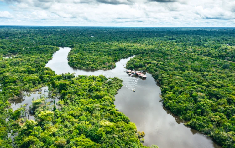 The Amazon_ A Different Kind of Immersion