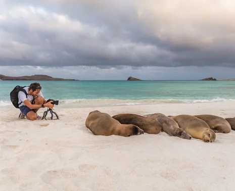 Where Life Begins in the Galápagos