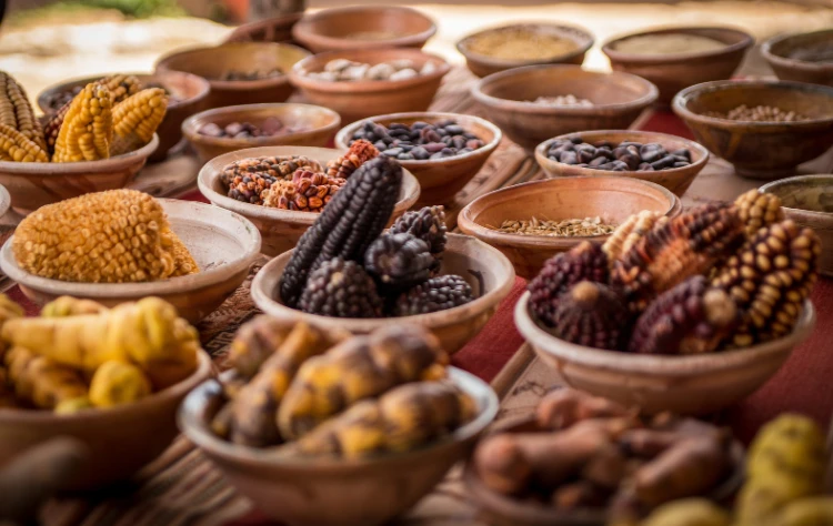 Why You Should Visit Peru for Its Culinary Identity