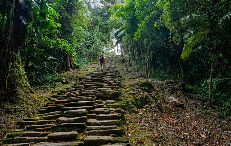 The Journey to the Lost City Colombia