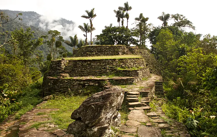 Understanding the Lost City Colombia