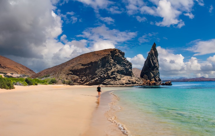 BEST TIME OF YEAR TO TAKE YOUR HONEYMOON IN THE GALAPAGOS