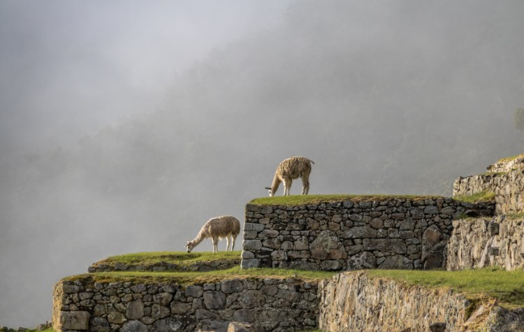 WHY IS SUSTAINABILITY IMPORTANT AT MACHU PICCHU