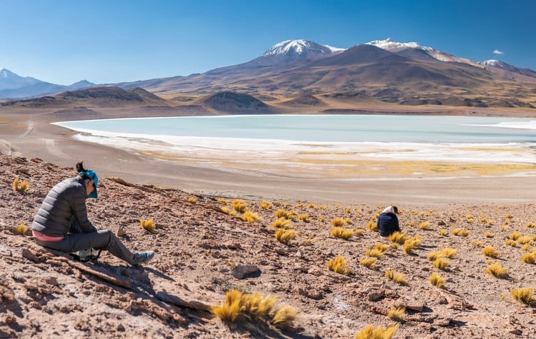 Atacama desert Chaxa lagoon