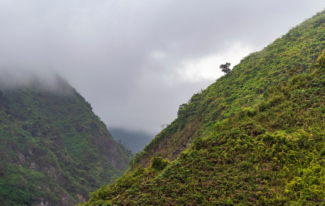 The Perfect Guide to Ecuador’s Cloud Forest