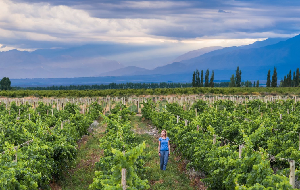 Top 5 Things to Do in Mendoza