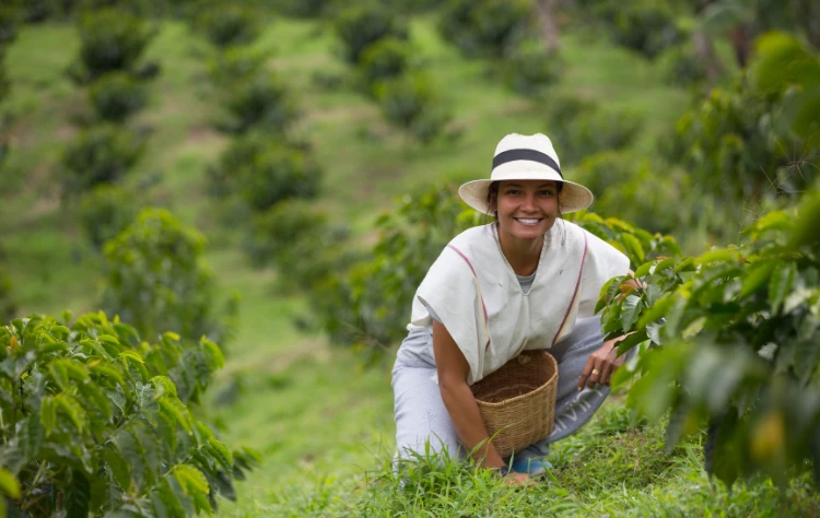 Why Coffee Country Appeals to the Luxury Traveler