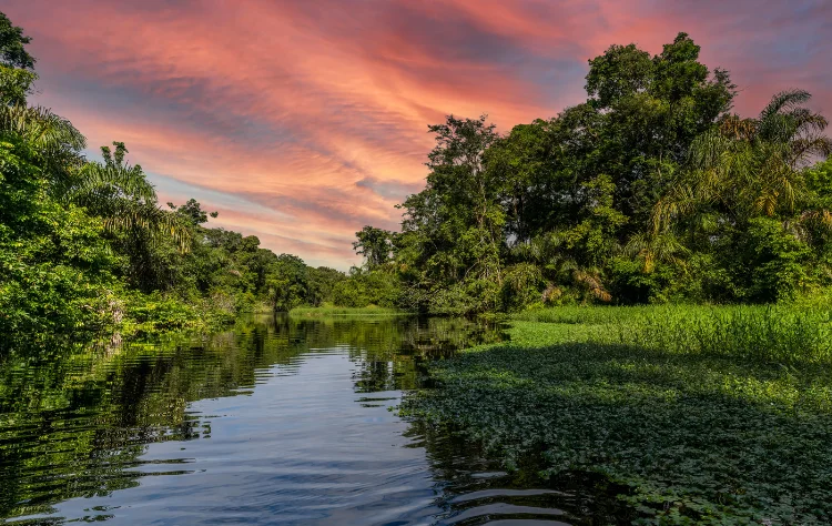 Amacayacu National Natural Park