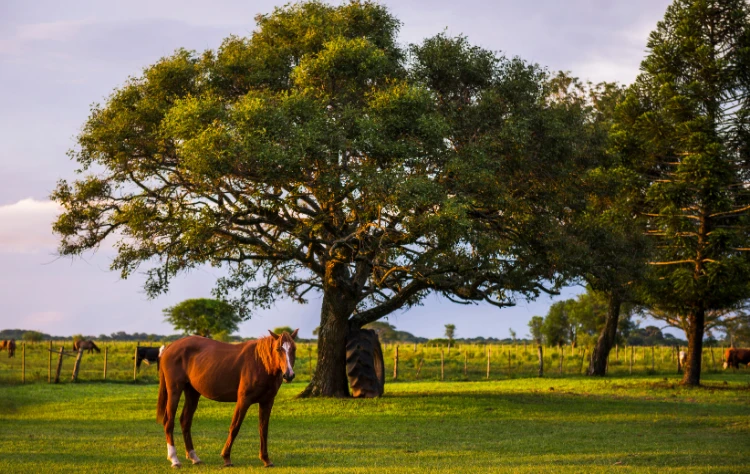 Beyond the Cave What Else Awaits Nearby