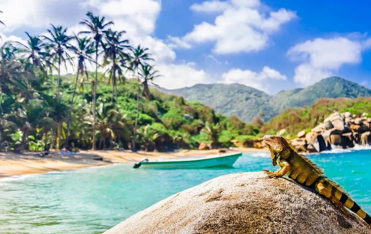 Tayrona National Natural Park