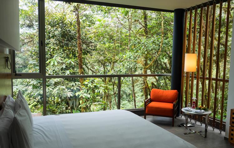 Where to Stay in Cloud Forest