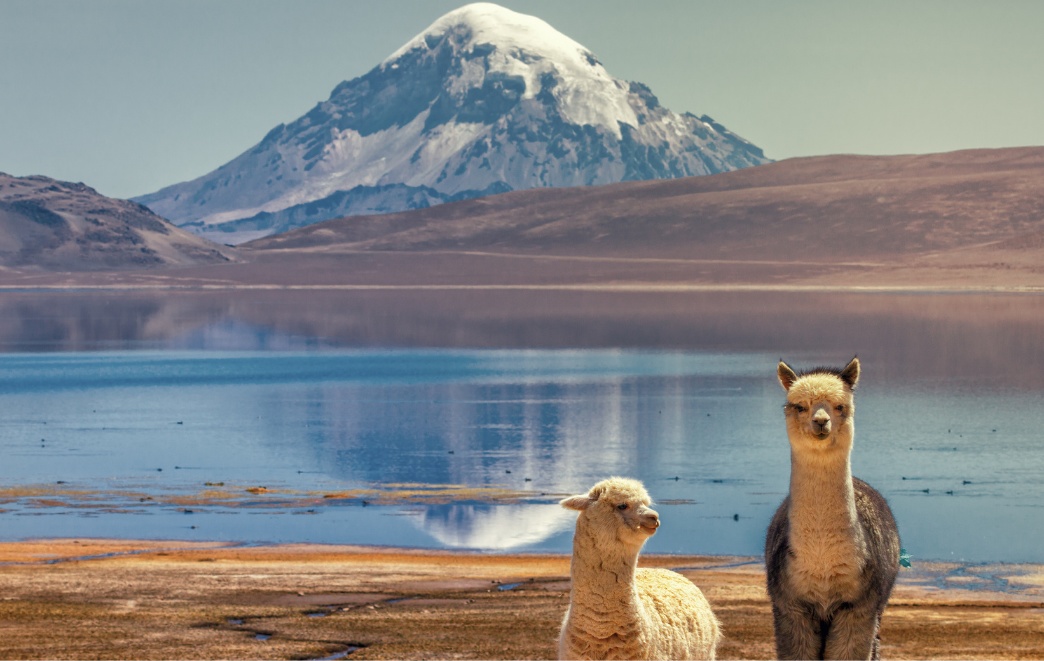 How to get the most out of Chile’s Lauca National Park