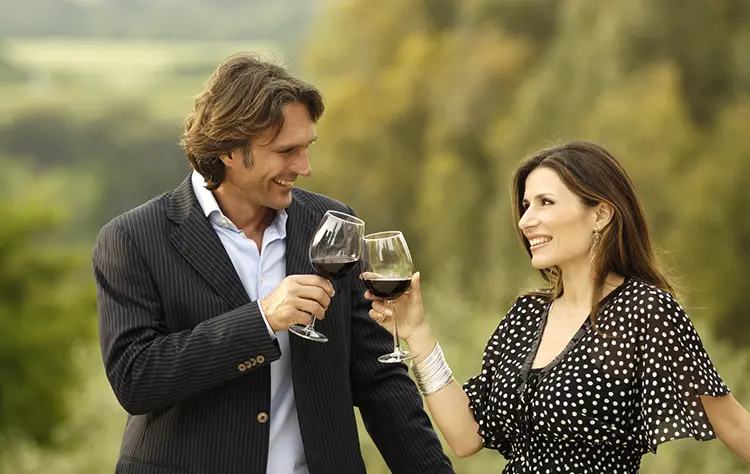 The Experience of Wine in Chile