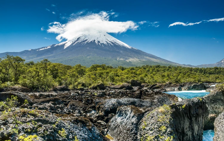 Waterfalls Forests and Quiet Movement